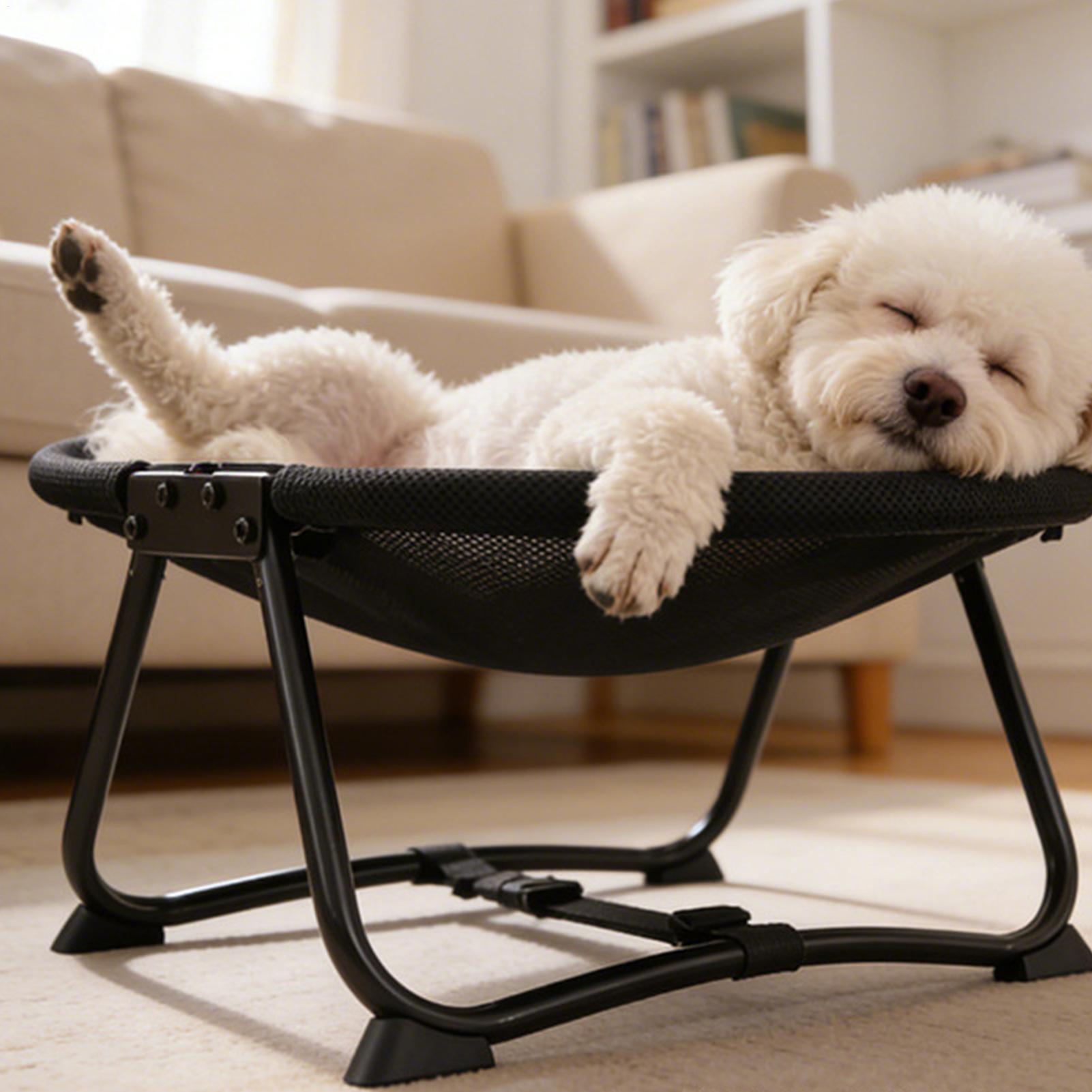 Dog Cot Bed Foldable Soft Hamm - Outdoor Camping Dog Bed ulasan dan harga