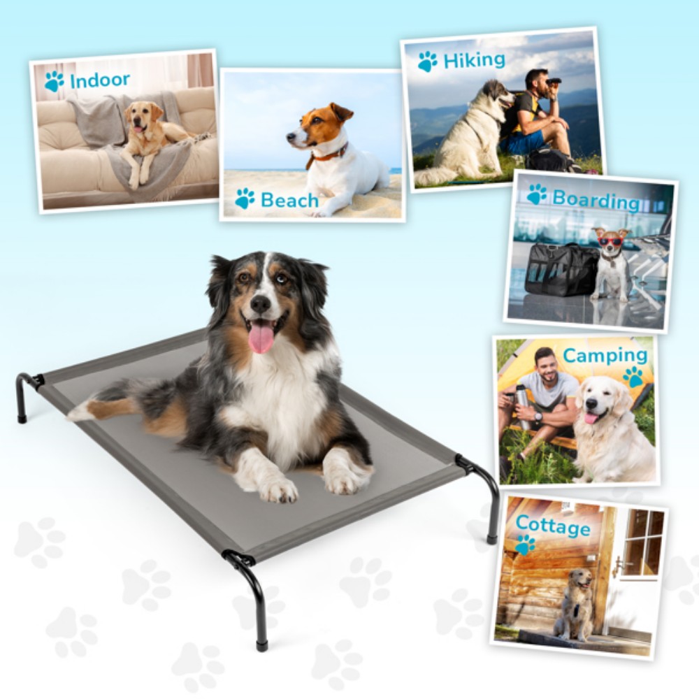 Portable assembled pet bed for - Outdoor Camping Dog Bed ulasan dan harga