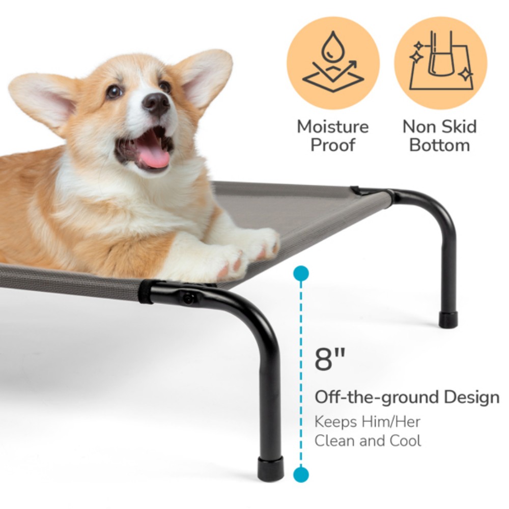Portable assembled pet bed for - Outdoor Camping Dog Bed ulasan dan harga