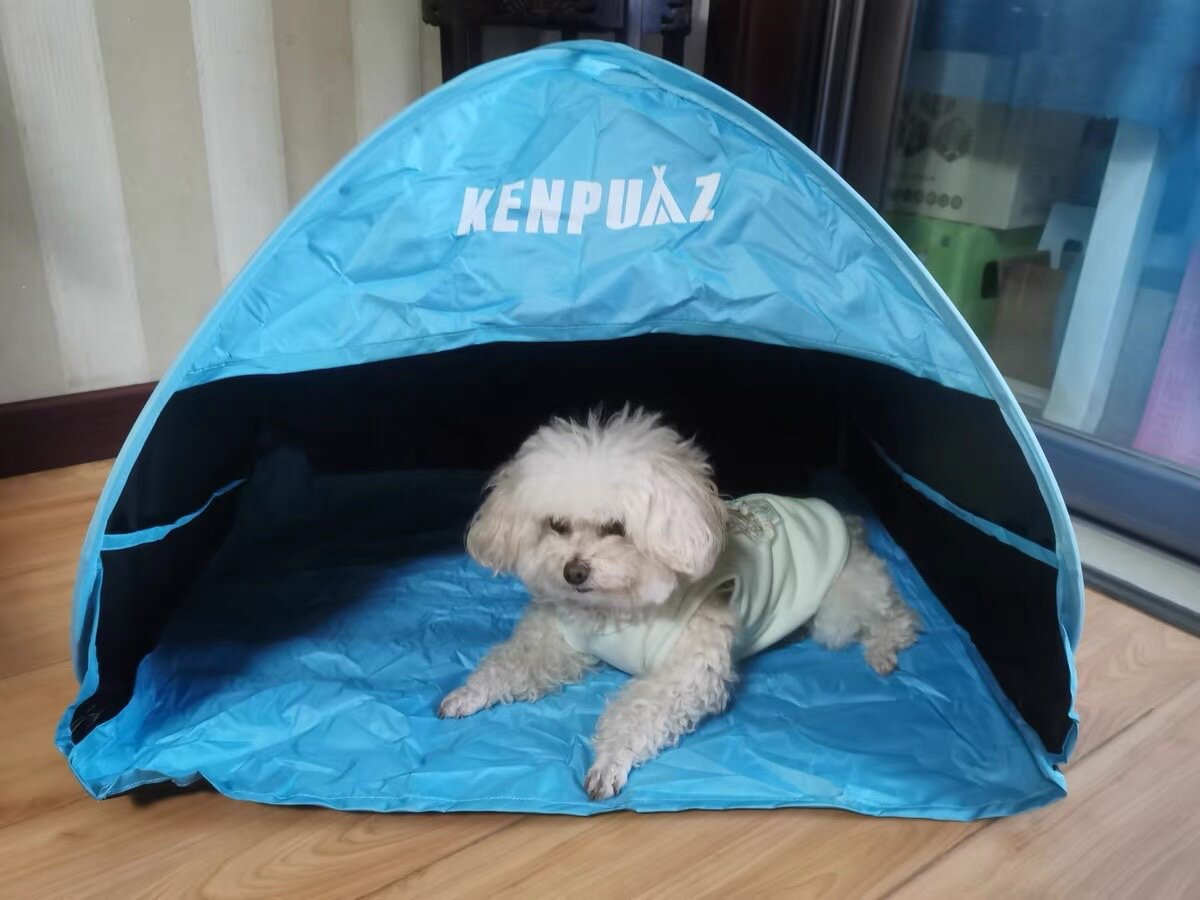 Hot Sale Tents Portable Easy F - Outdoor Camping Beds For Sale ulasan dan harga