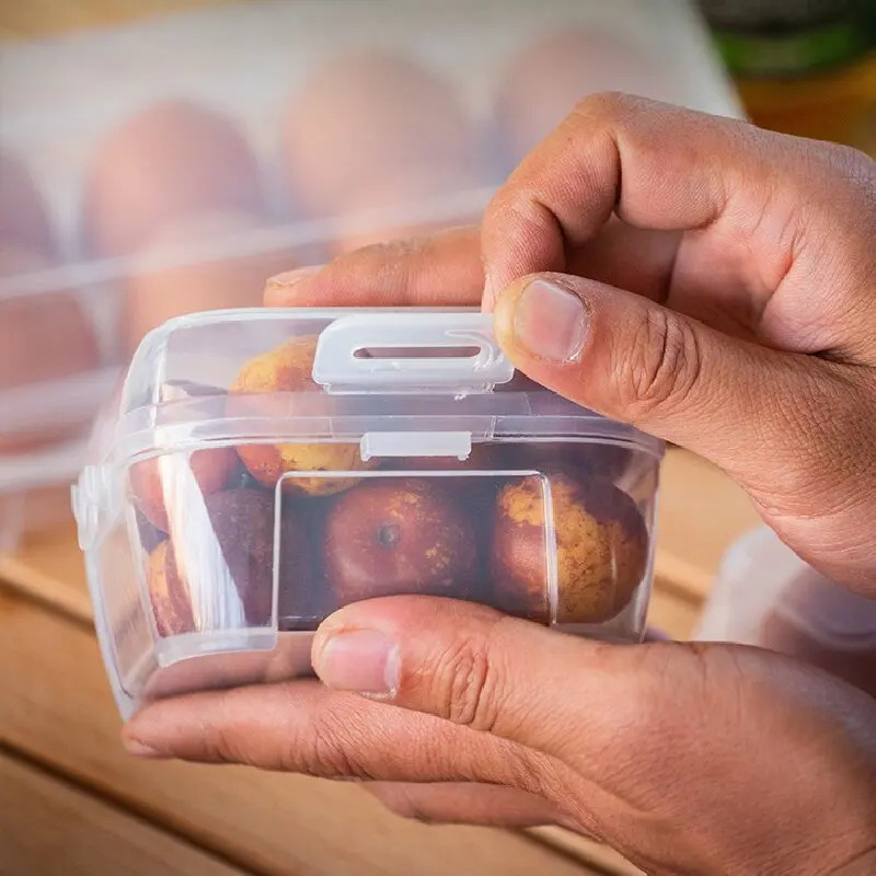 Portable Shockproof Egg Contai - Outdoor Camping Storage Box ulasan dan harga